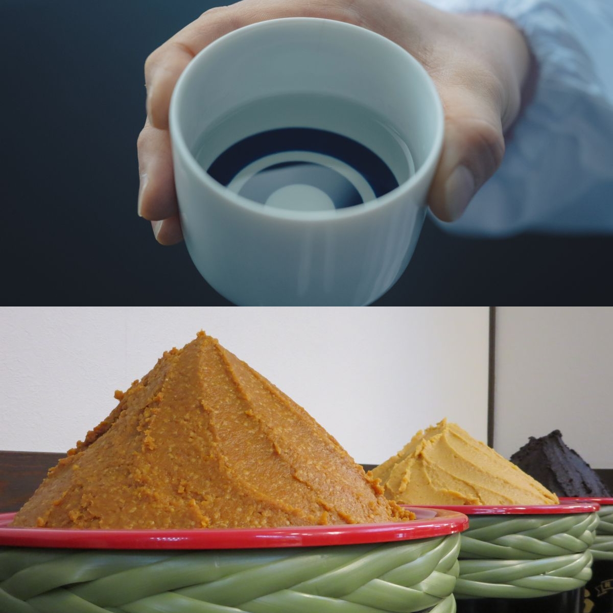 発酵食