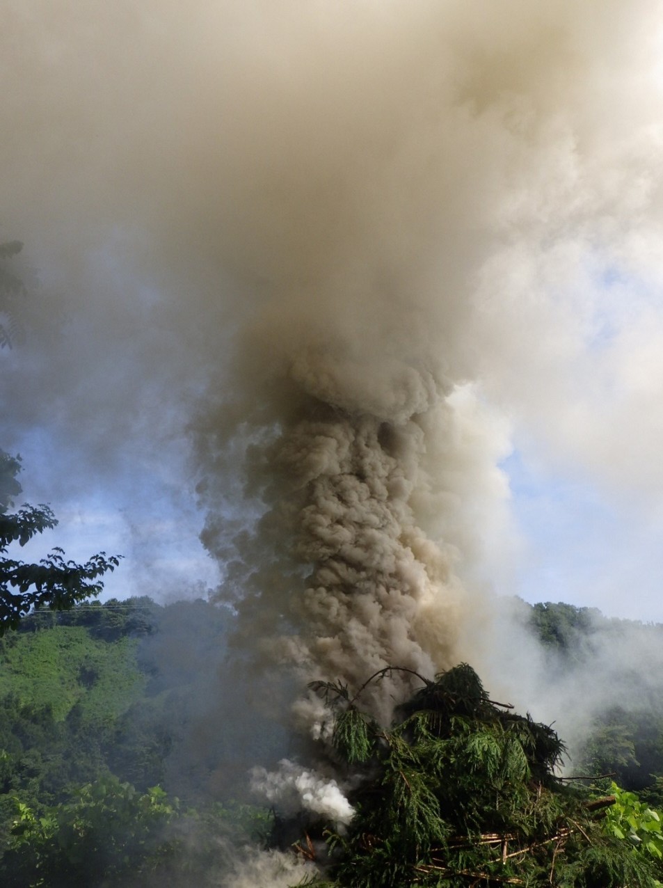 虫川城(虫川自治会)