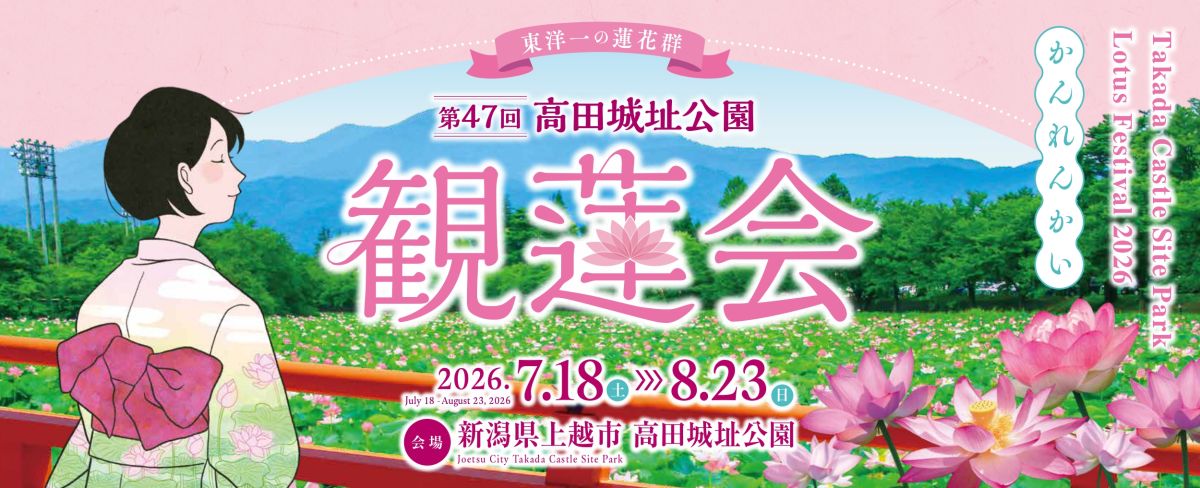 規模・美しさから「東洋一」と称される、高田城址公園の蓮。紅白が入り混じった和蓮が外堀を埋め尽くします。