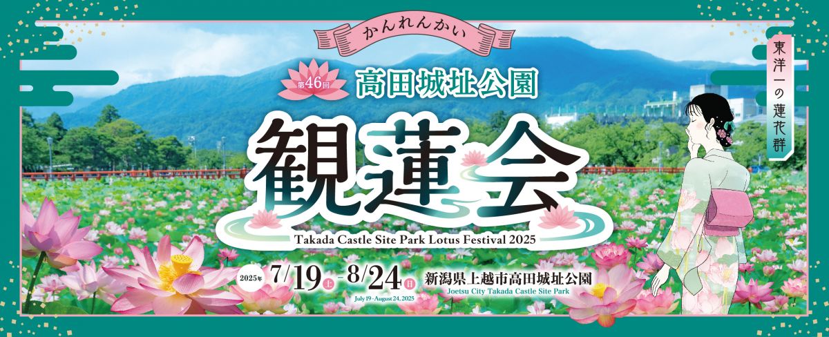 規模・美しさから「東洋一」と称される、高田城址公園の蓮。紅白が入り混じった和蓮が外堀を埋め尽くします。