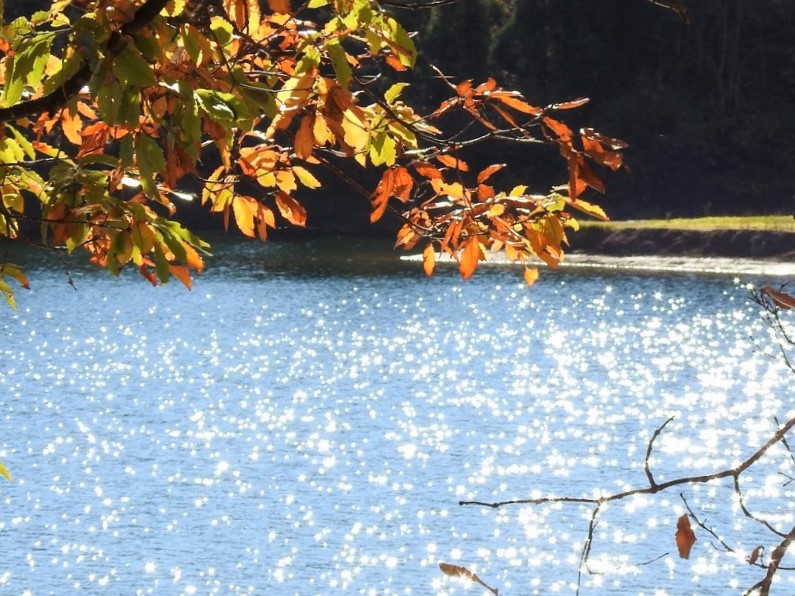 Boga Pond Lakeside Park 06