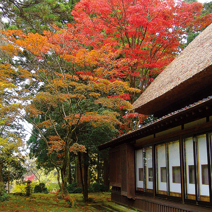 Hayashi Tominaga residence 03