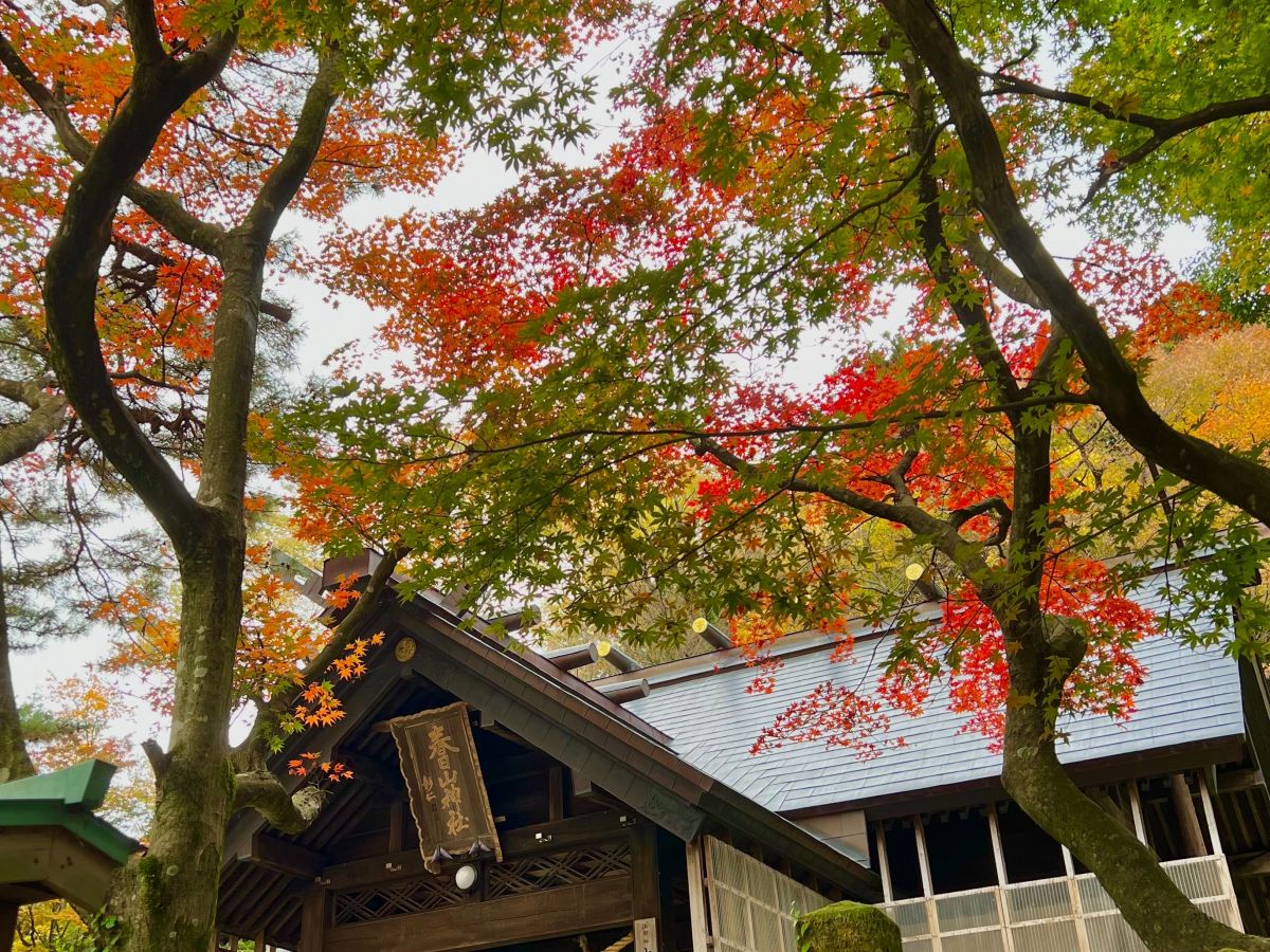 春日山神社境內