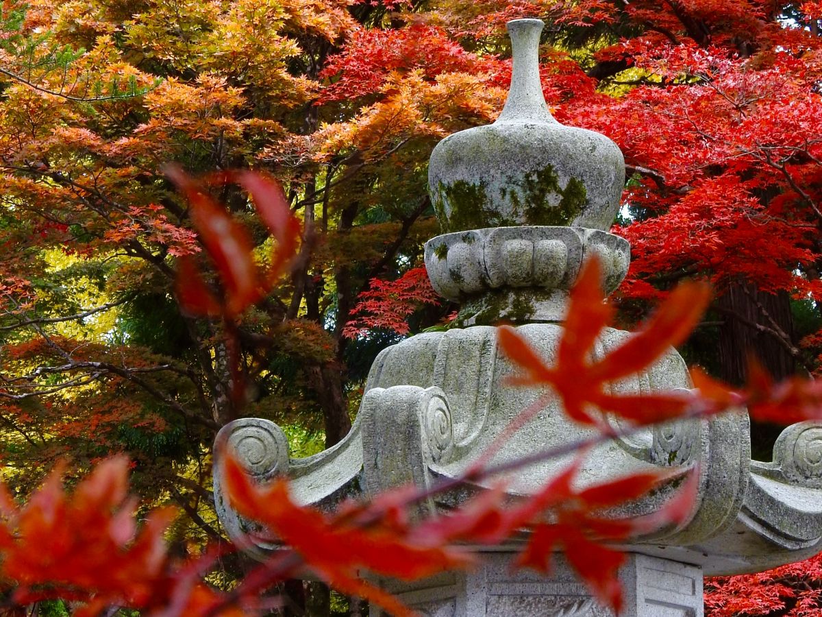 Kasugayama Shrine 05