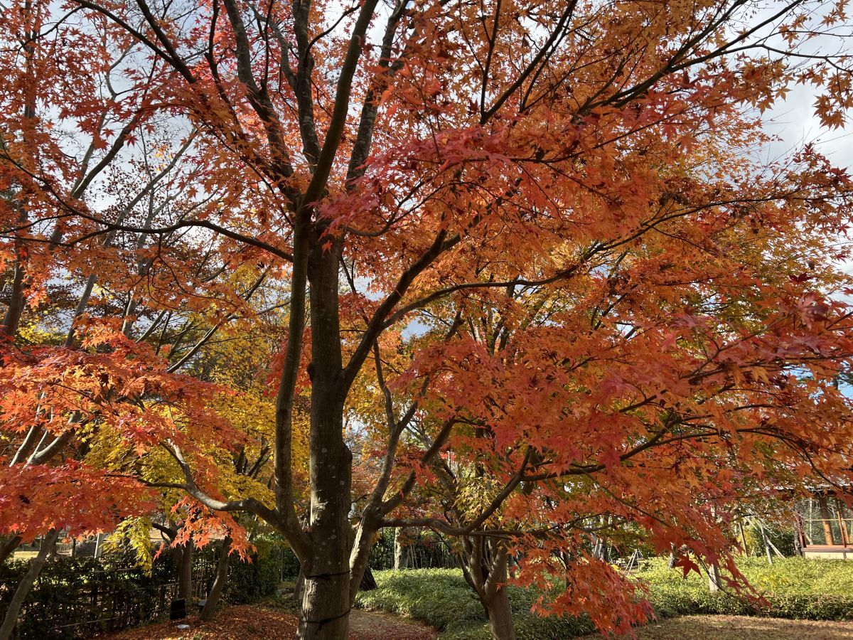 Kobayashi Kokei Memorial Museum of Art 05