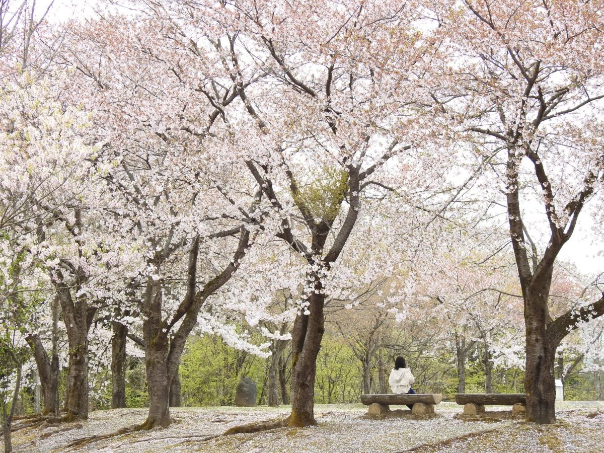 Seseragi Square, Bench