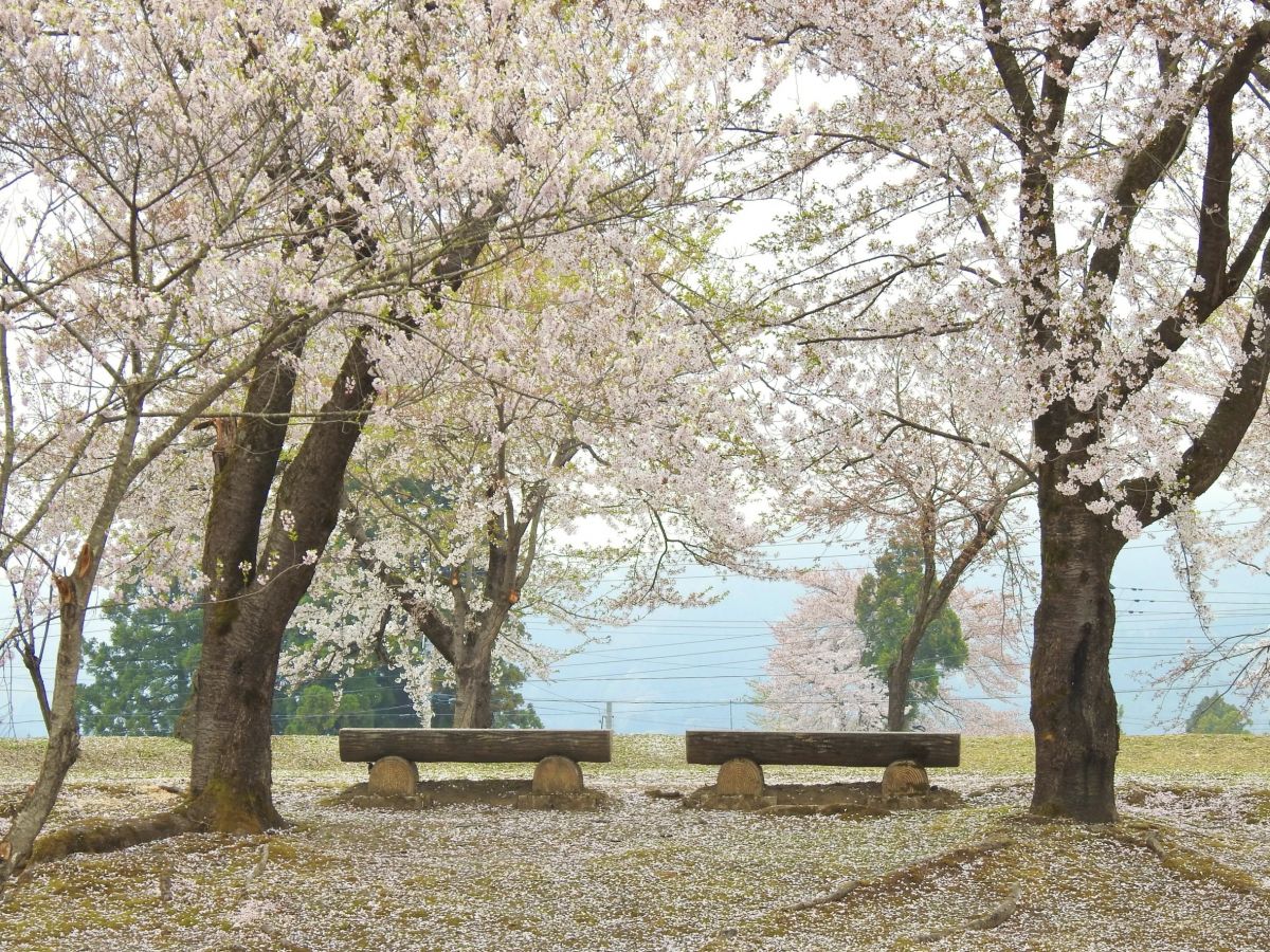 Izumi Jomon Park 06