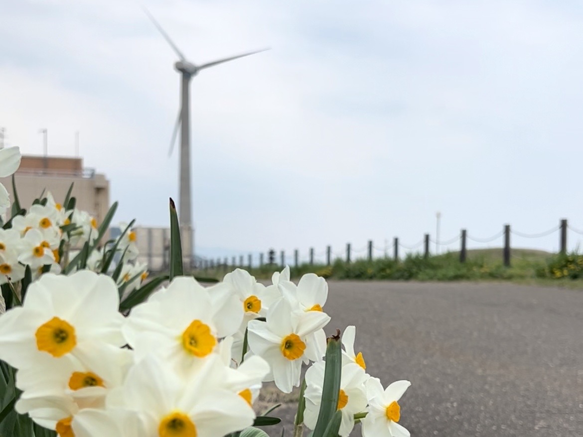 海滨露台名立 芝广场