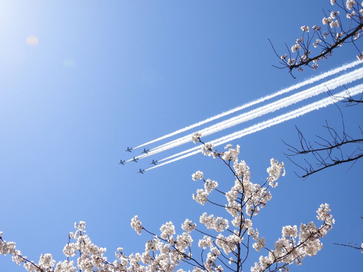 South Ninomaru Square (Blue Impulse)