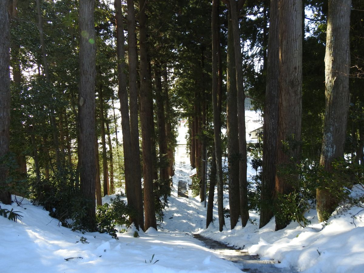 Kasuga Shrine, View from the stairs