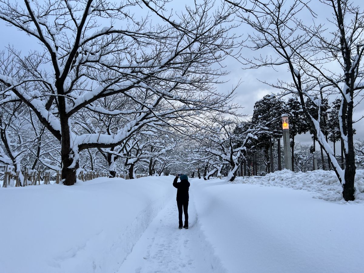 高田城址公園 南二之丸廣場前的人行道