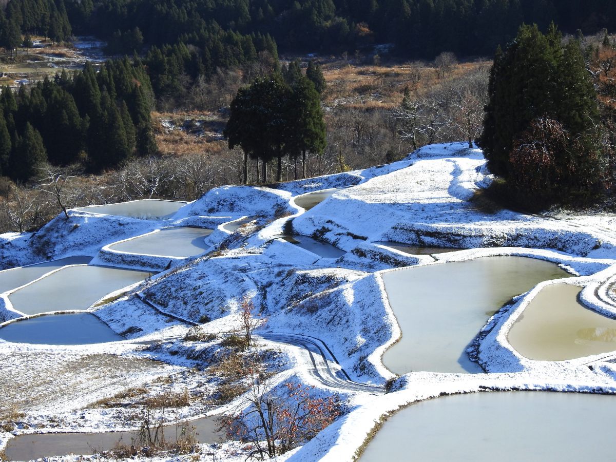 Otsuki Rice Terraces 02