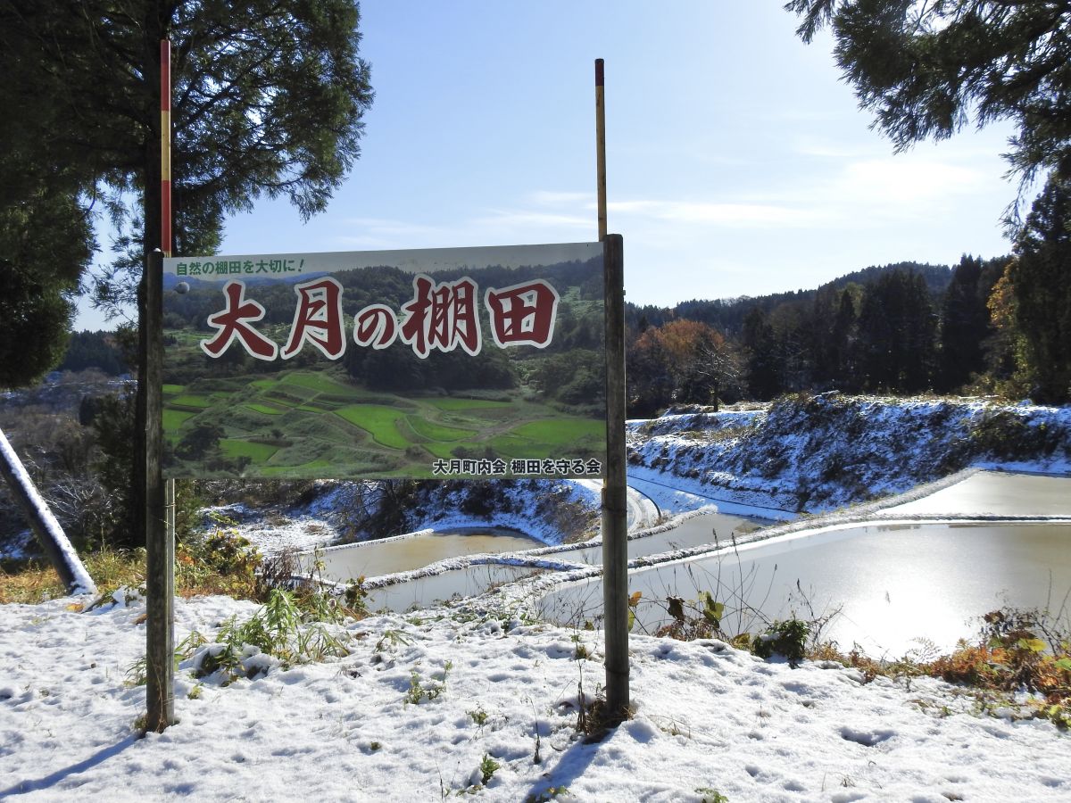 Otsuki Rice Terraces 04