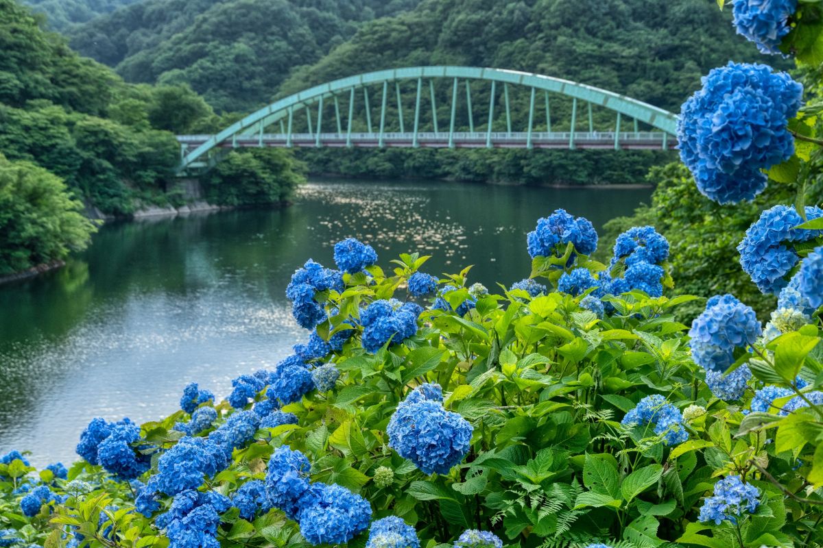 正善寺大坝