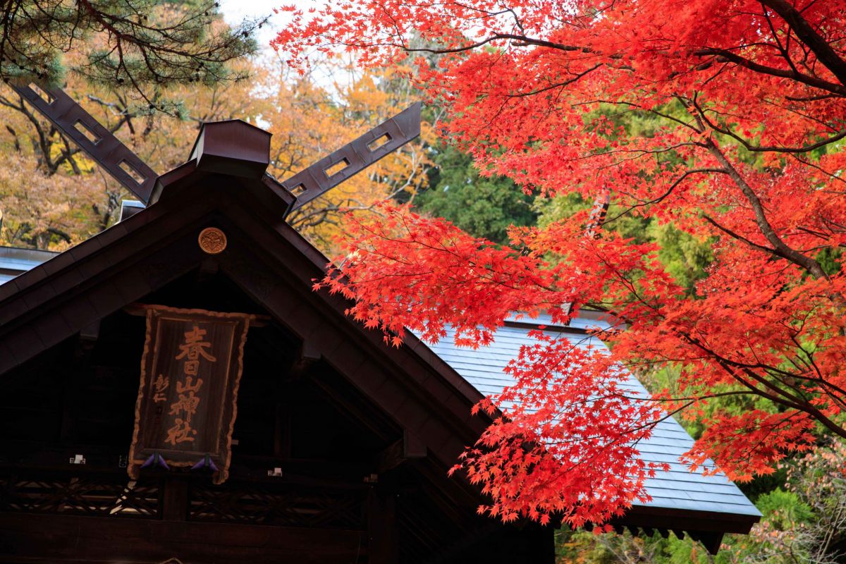Kasugayama Shrine