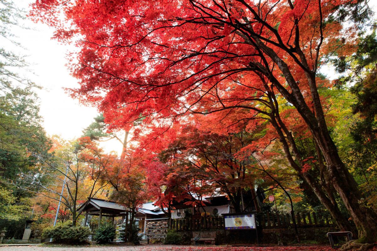 Kasugayama Shrine