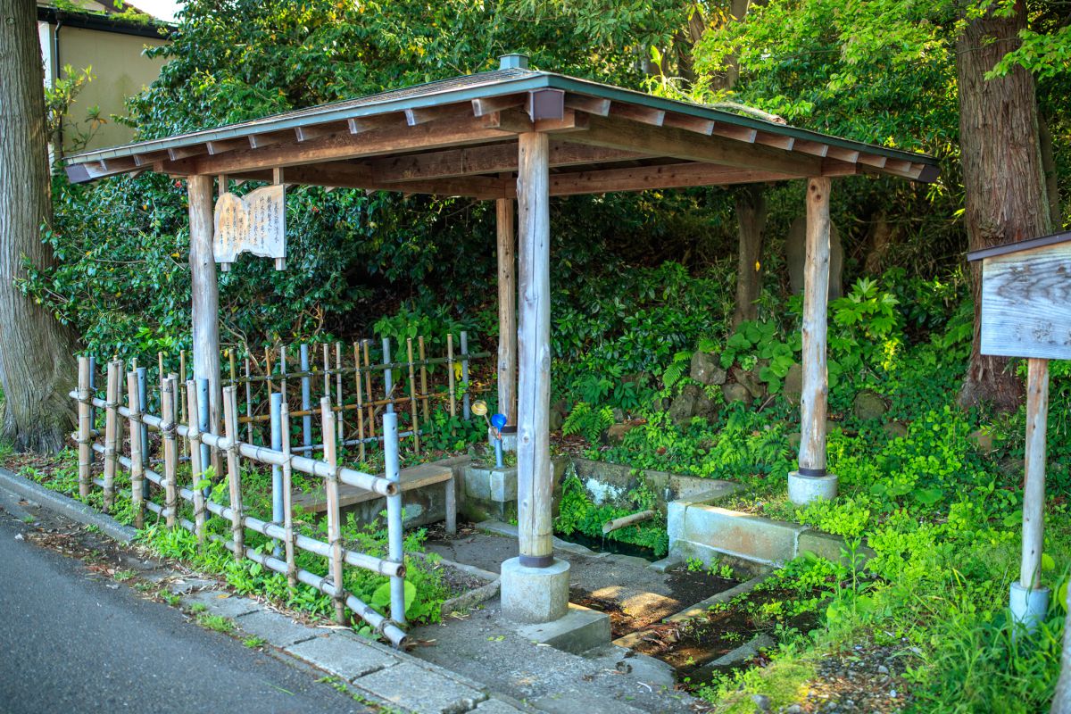 Gochi Kokubunji Temple