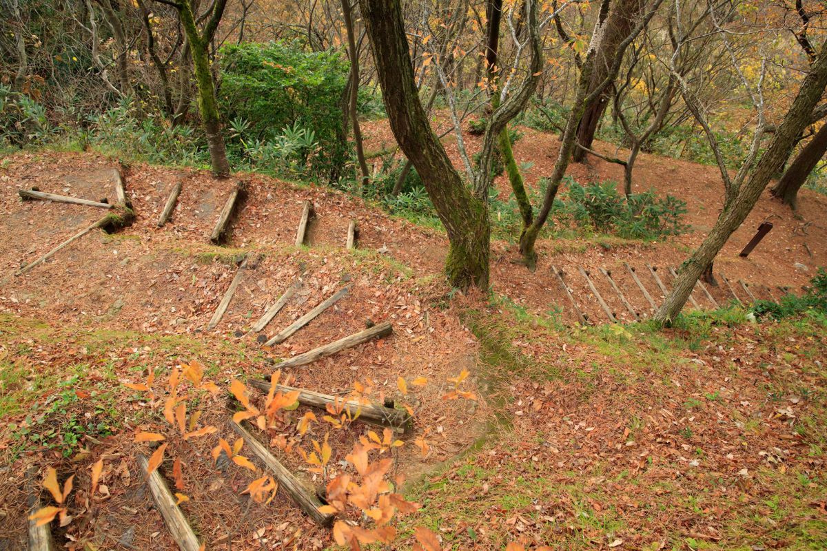 Kasugayama Castle Site