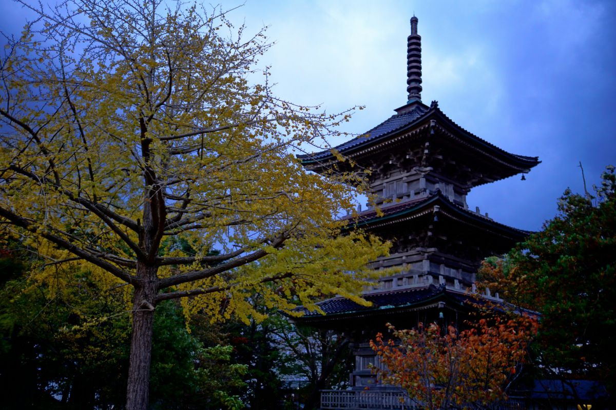 Gochi Kokubunji Temple